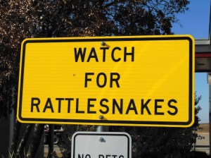 headed into New Mexico.jpg2