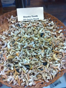 2013-10-25 13.46.21.jpg1