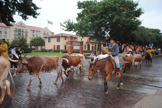 Texas 2013 systemkamera 169.JPG1