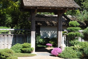 Texas 2013 systemkamera 251.JPG1