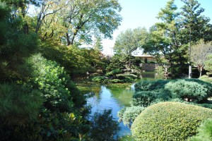 Texas 2013 systemkamera 273.JPG1