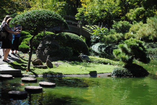 Texas 2013 systemkamera 312.JPG1