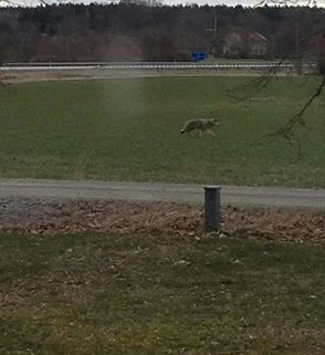 10157307_10152304250072179_1847489763_n.jpg11