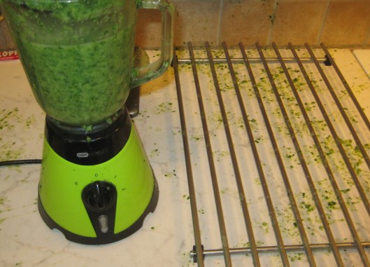 Spenatsoppa 001.JPG1