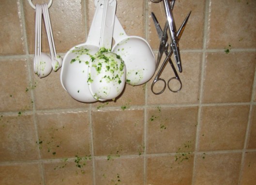 Spenatsoppa 003.JPG1