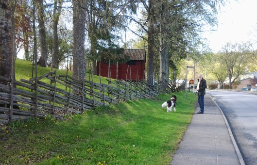 Surfplattan Söderköping 2014 186.jpg1