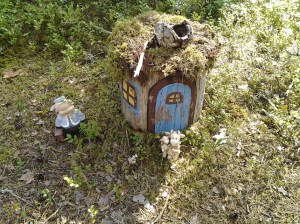 Dalarna aug 2014 352.jpg1