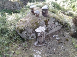 Dalarna aug 2014 357.jpg1