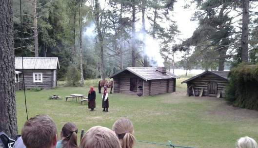 Dalarna aug 2014 405.jpg1