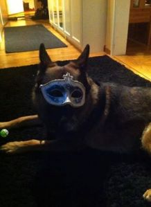 10425148_10152659364361655_4608305943669751683_n