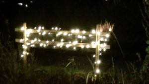 1459077_10204053378348214_2433578730394408533_n