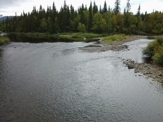 lövsjön september 2014 049.jpg1