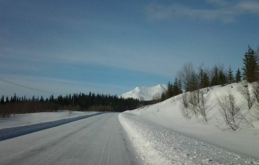 Surfplattan 2015 Borga 503.jpg1