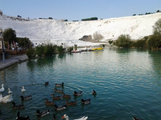 Turkiet 2015 10 14 054.jpg1