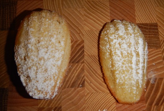 DSCN6907.JPG1 - kopia