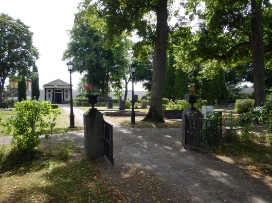 DSCN7502 Gullregn i oktober.JPG1