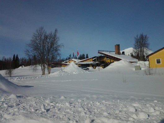 surfplattan-2015-borga-491-jpg1